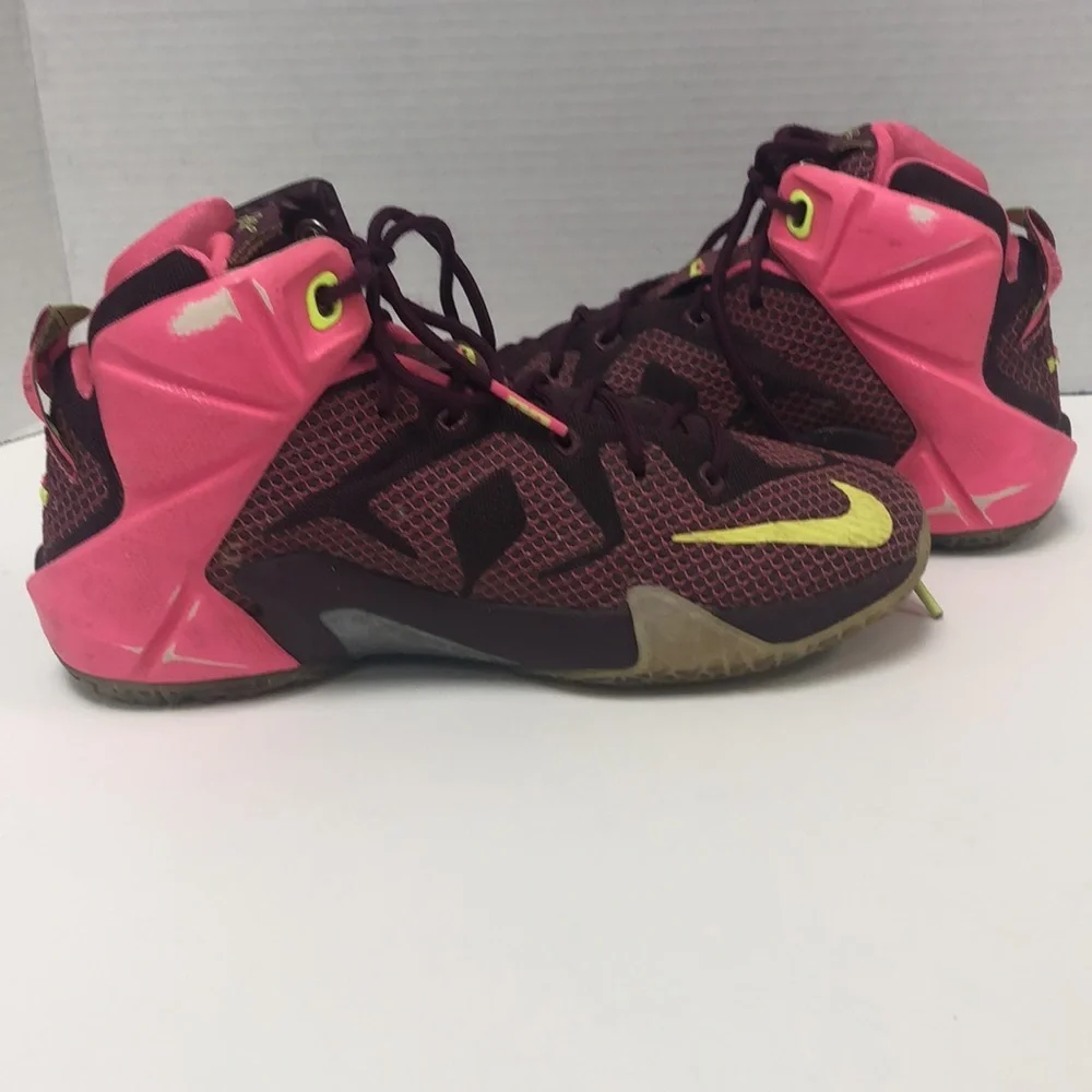 Nike LeBron James sneakers